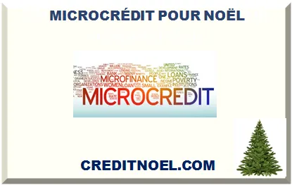 MICROCRÉDIT POUR NOËL 2025